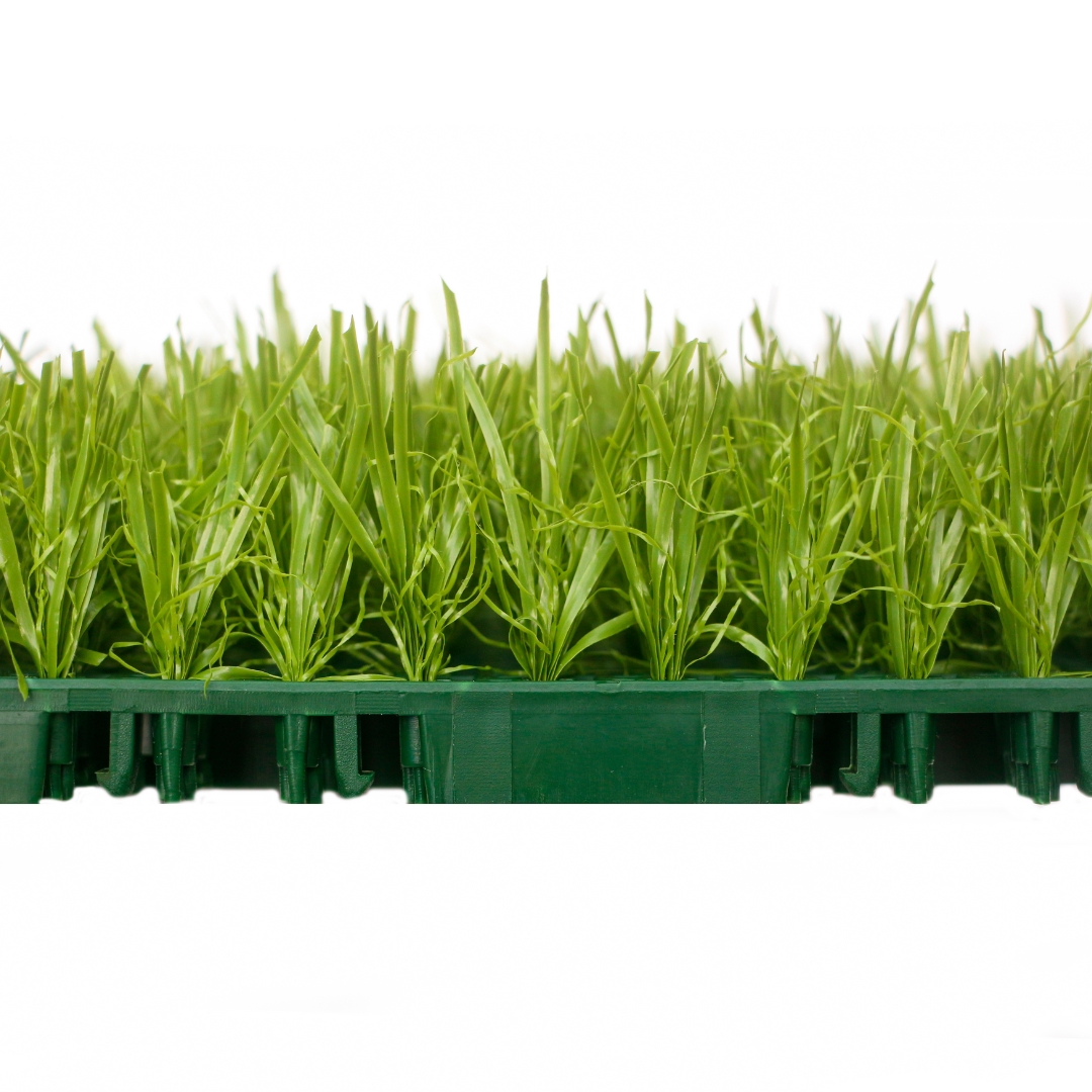 Césped ensamblado Yangyang TC-Y25150