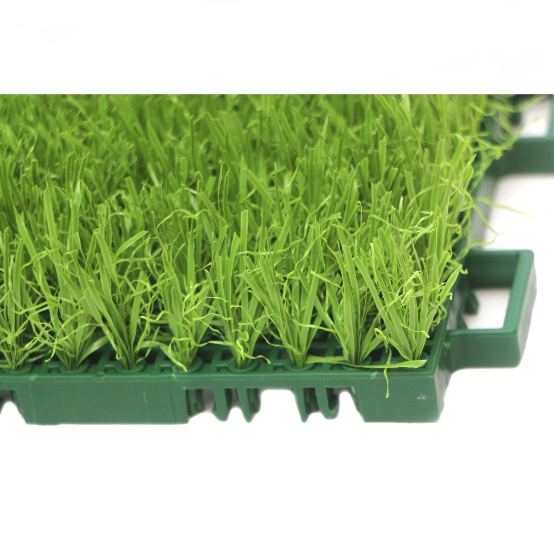 Césped ensamblado Yangyang TC-Y25150